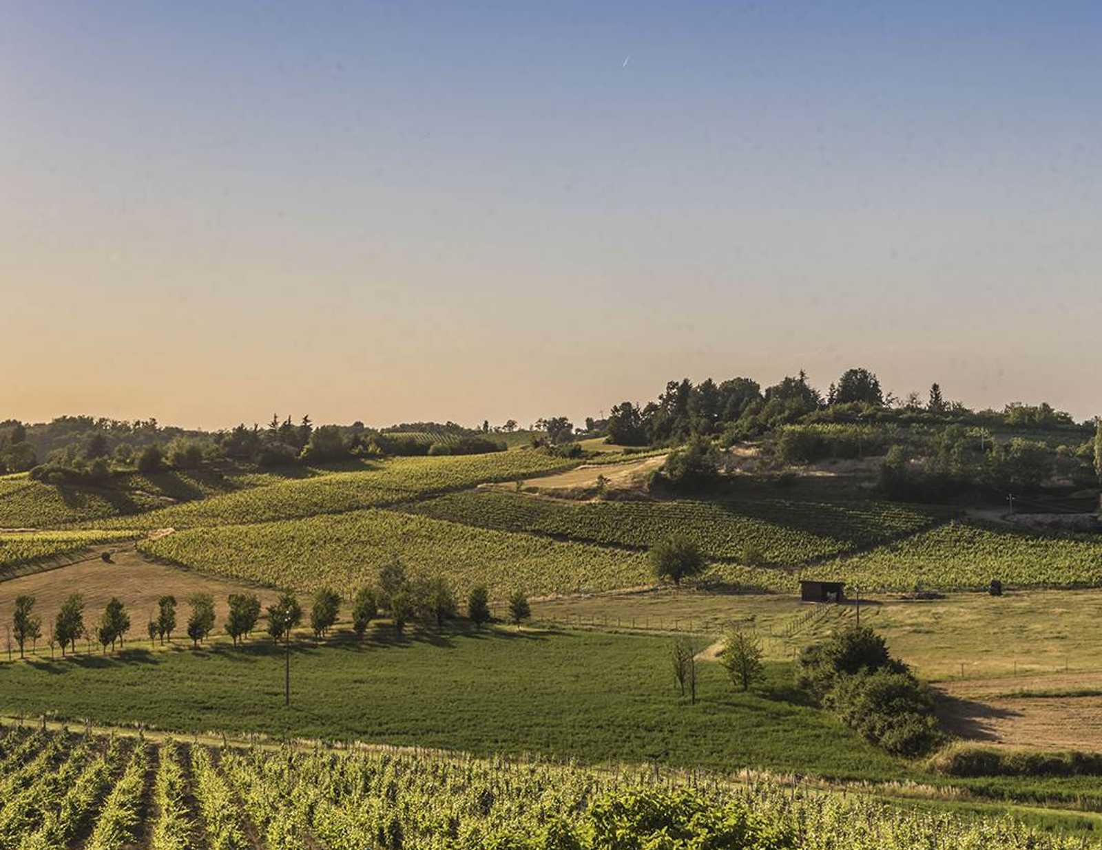 Gavi Hills, Serravalle