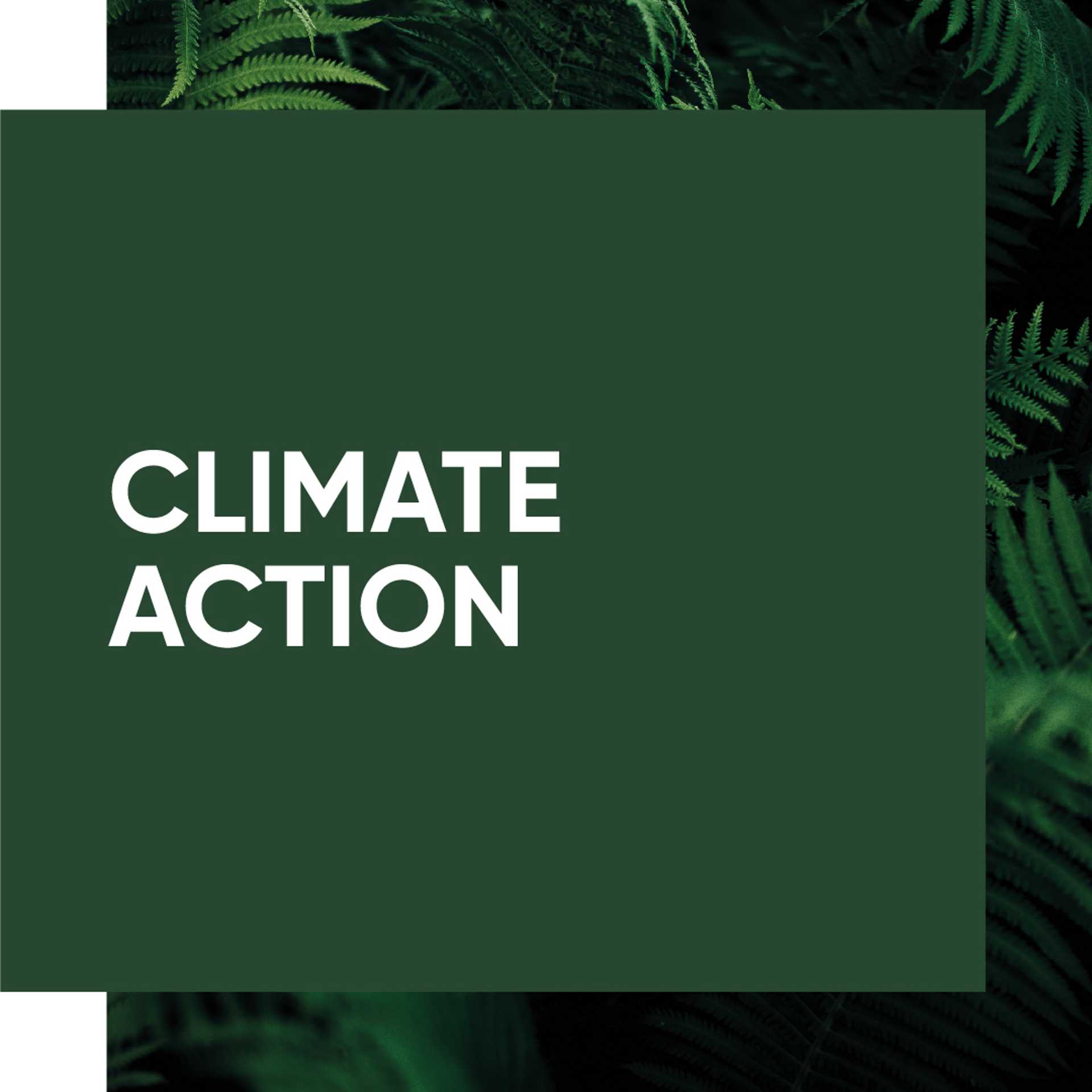 'Climate Action' text applied on top of plant foliage 