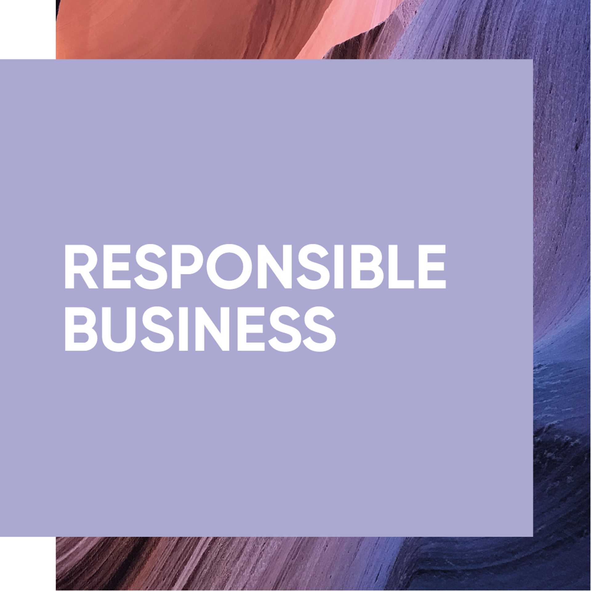 'Responsible Business' text applied on top of a desert rock formation