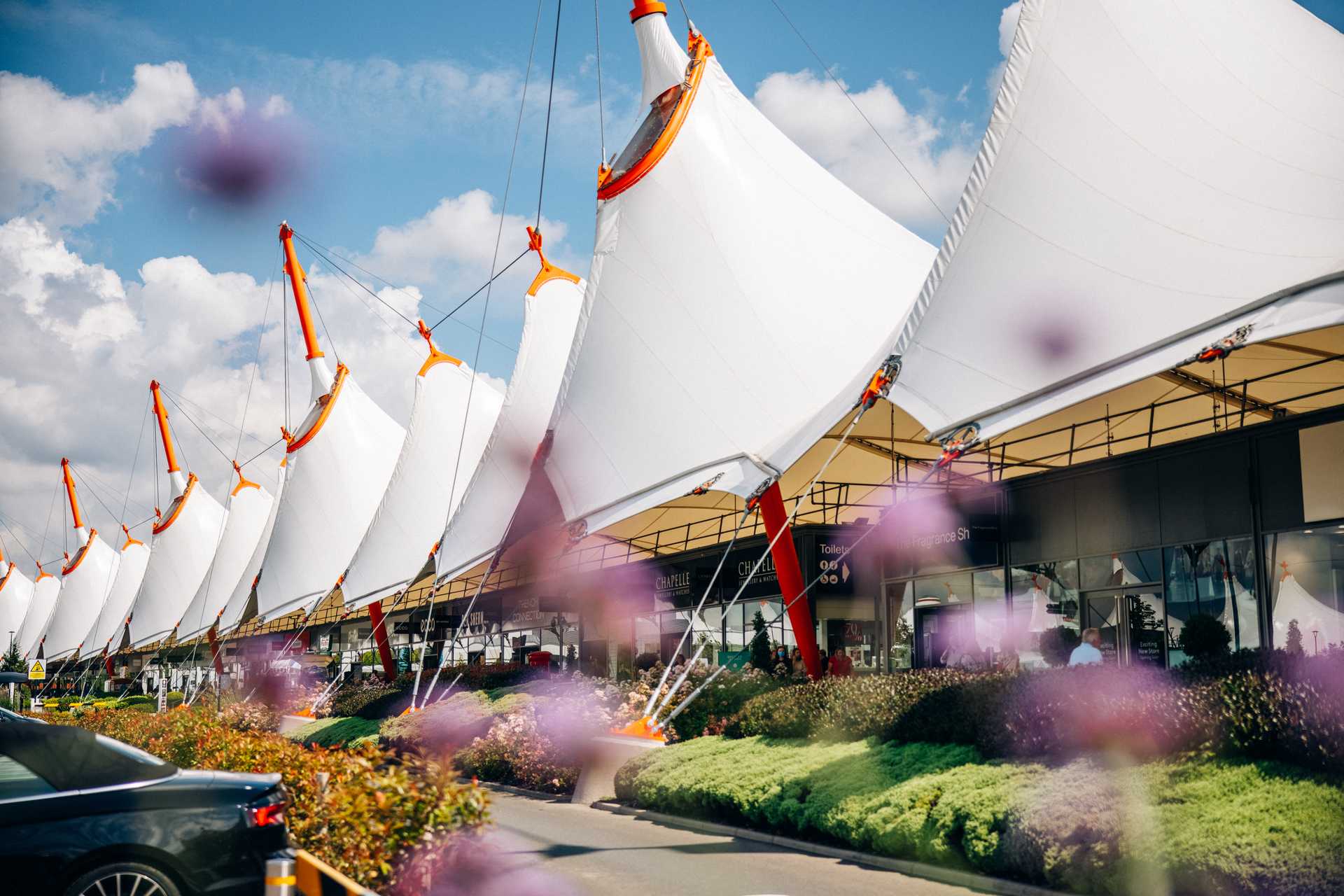 Ashford tents