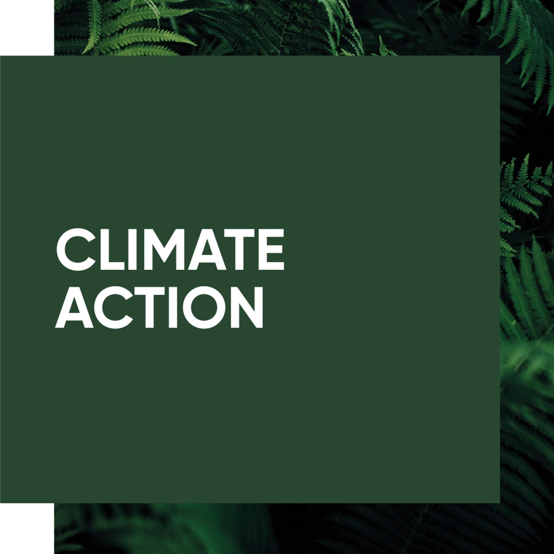 'Climate Action' text applied on top of plant foliage 