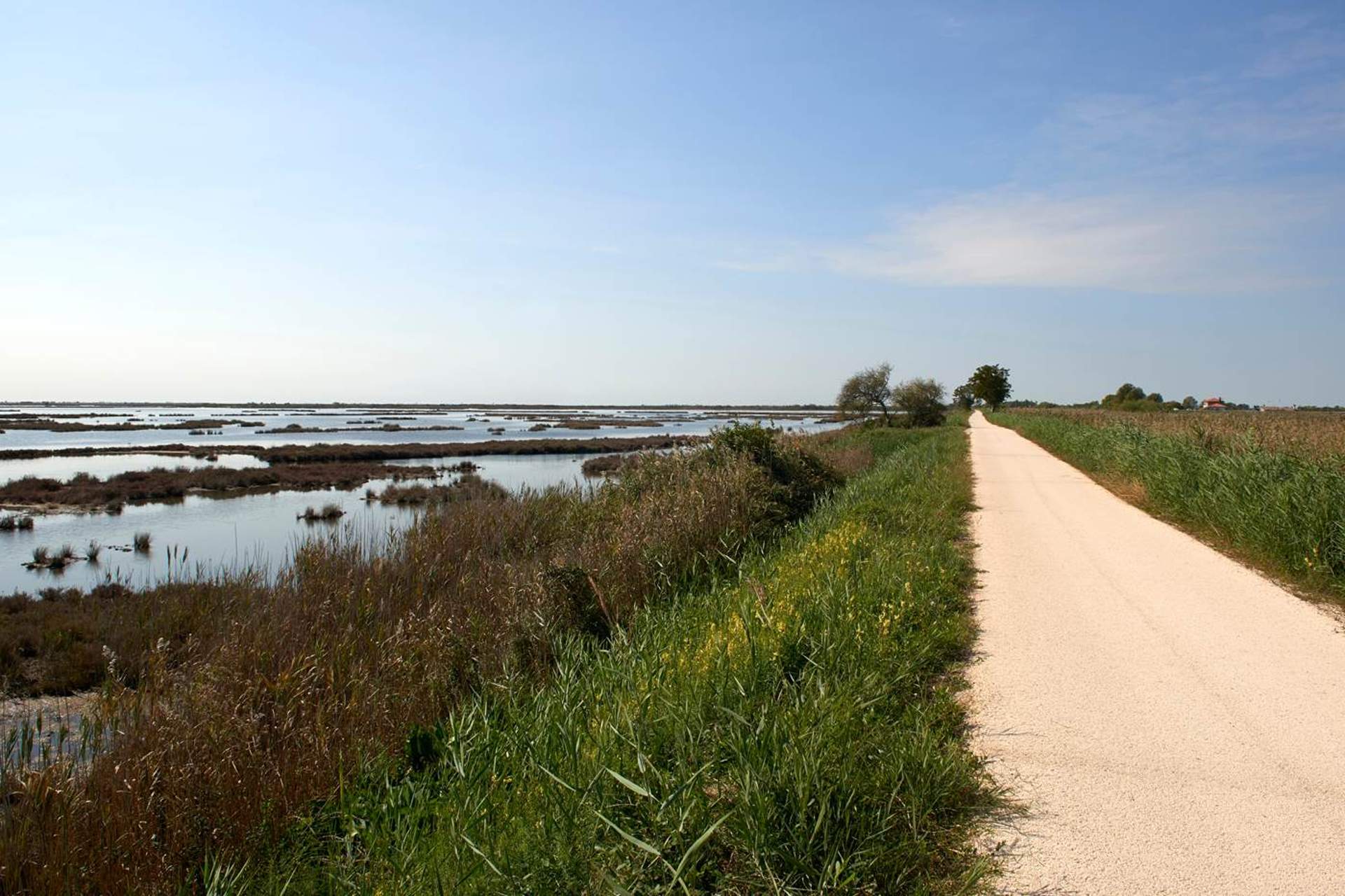 basso piave